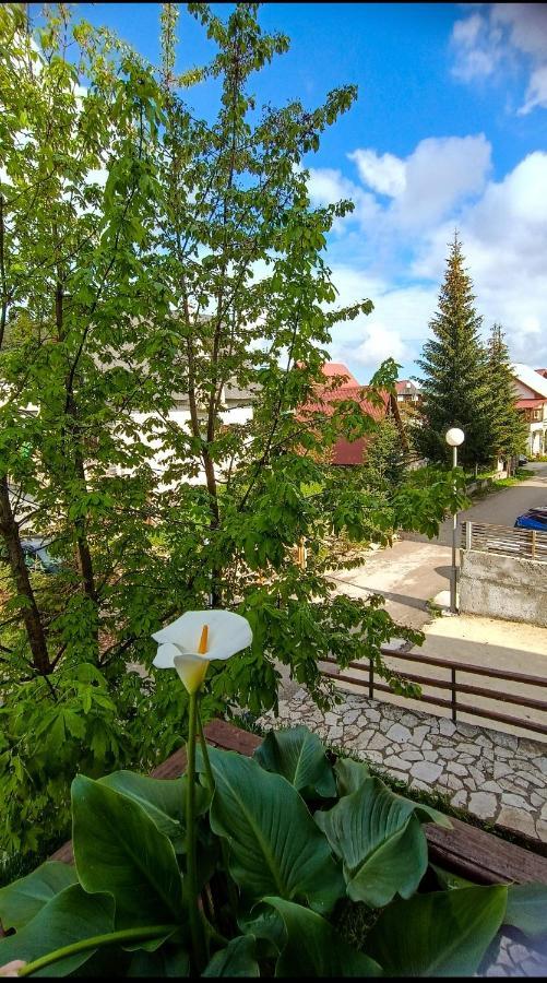 Apartments Sipcic Жабляк Экстерьер фото